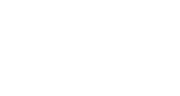 Falconix Logo